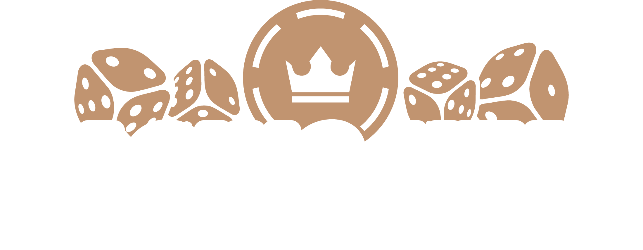 poliskontroll.se